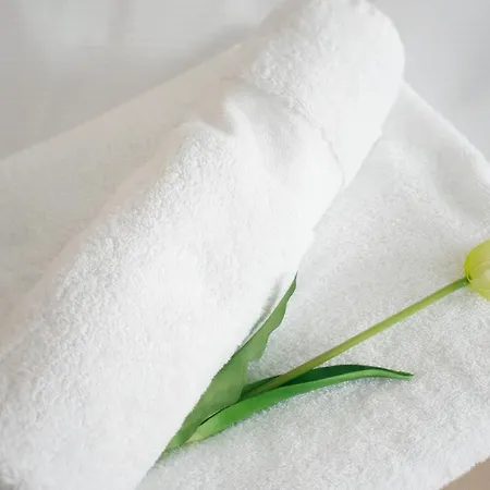 Elixir 公寓 维拉尼