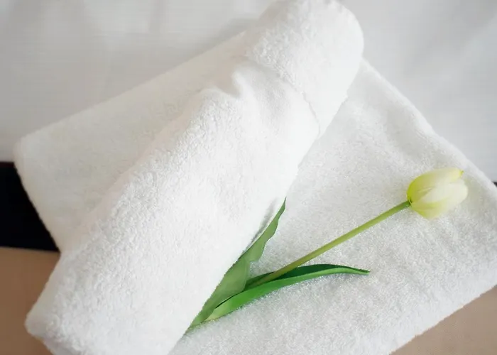 Elixir Apartment Villany